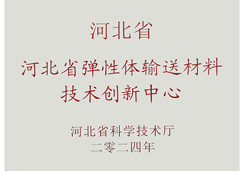 河北省弹性体输送材料技术创新中心.jpg
